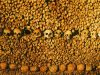 Catacombs Paris France