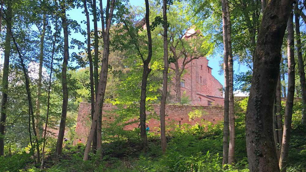 Palatinate Rockland forest
