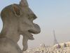 Gargoyle Notre Dame
