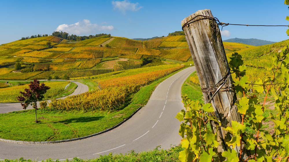 Alsace wine country