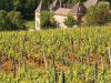  Palatinate wine region 