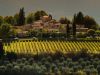 Tuscan Vineyard