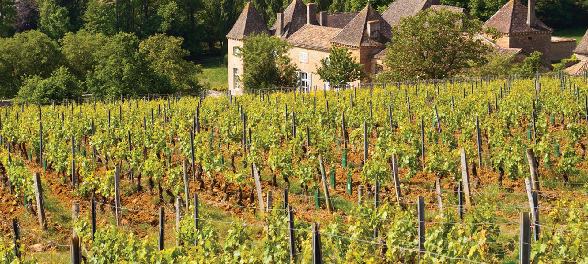  Palatinate wine region 